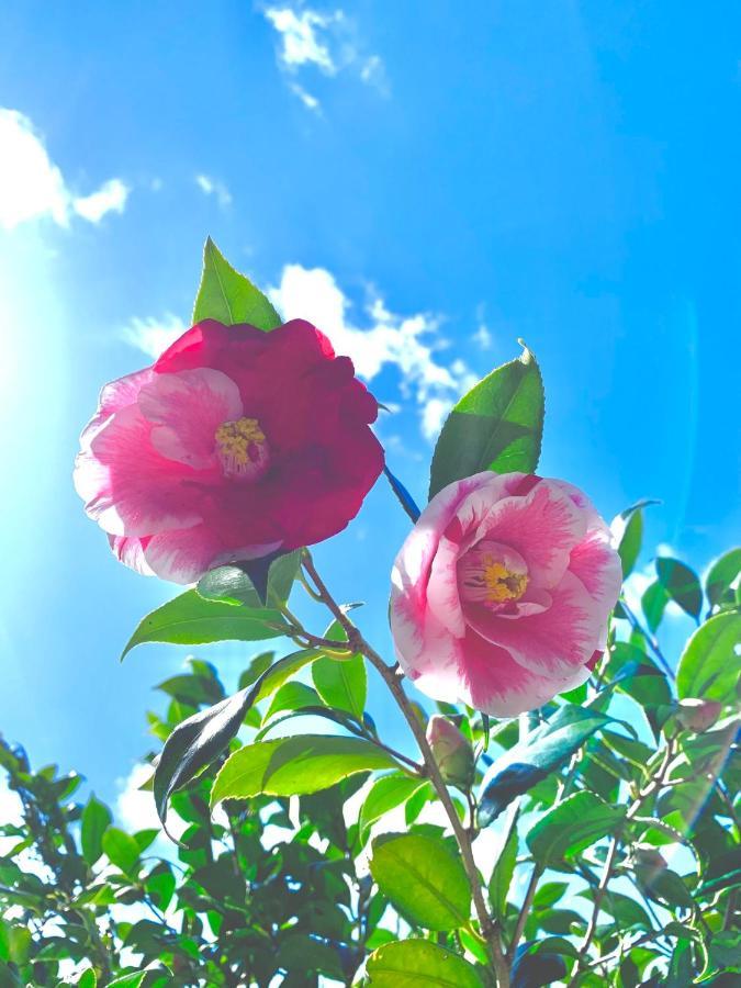 Guest House 熊野野菜 田辺市 エクステリア 写真