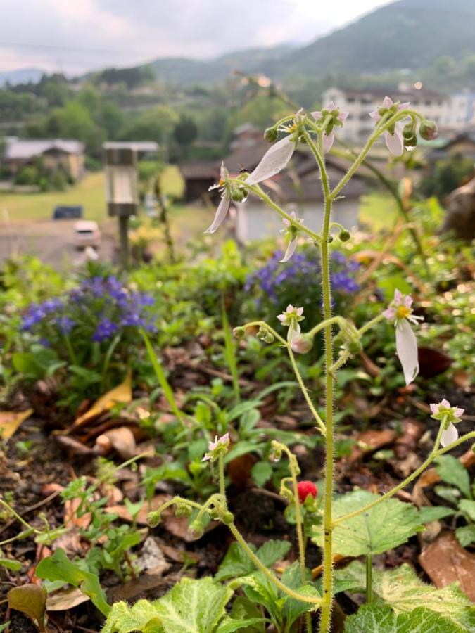 Guest House 熊野野菜 田辺市 エクステリア 写真